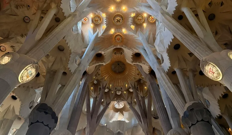 L’arquitectura com a col·leccionista